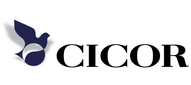 big—logo