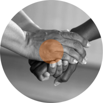 PNG – expertise – products – relationships